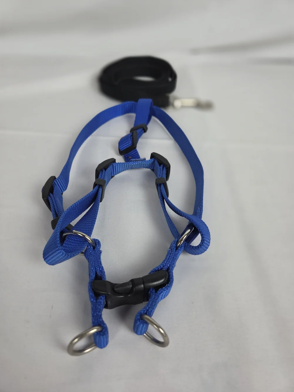 Blue Adjustable Dog Harness and Leash Set